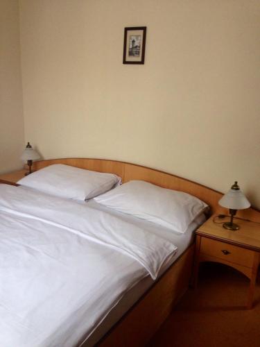 Фотография гостиницы Hotel Zlaty Lev