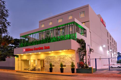 Фотография гостиницы Hilton Garden Inn Guatemala City