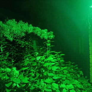 Фотография Коттеджа Частный дом Крым у Ёлки