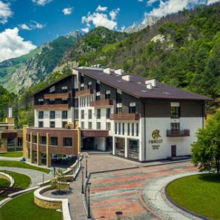 Фотография гостиницы Forrest Terrace Hotel