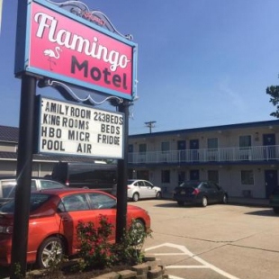 Фотография гостиницы Flamingo Motel