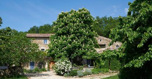 Фотография гостевого дома La Cour du Marronnier