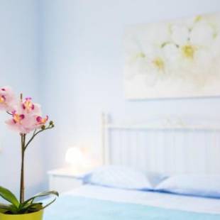 Фотографии апарт отеля 
            Residence Kimba