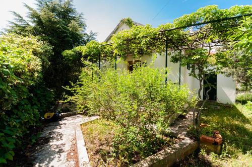 Фотография гостевого дома Holiday Home Bojan