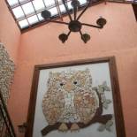Фотография мини отеля Pousada Canto das Corujas