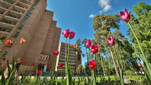 Фотография санатория Им. Володарского В.В.