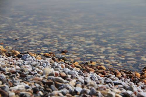 Фотографии мини отеля Атика 4