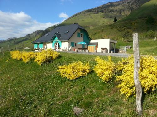 Фотография мини отеля Gîte de montagne du Plateau de Lhers