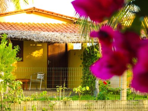 Фотография мини отеля Pousada Sitio Araça