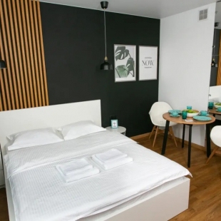 Фотография квартиры Апартаменты Домант Романова 60/1 (7)