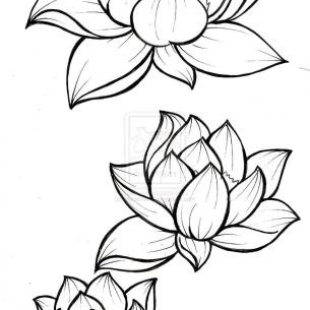 Фотография хостела Lotus Hostel