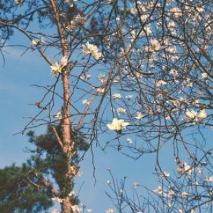 Фотография мини отеля Bình An