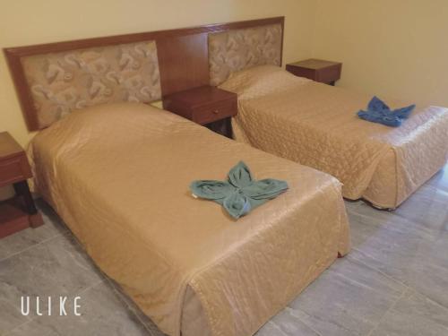 Фотография гостиницы Jumbotel Hotel