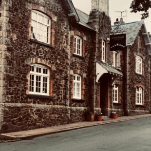 Фотография мини отеля Seven Stars