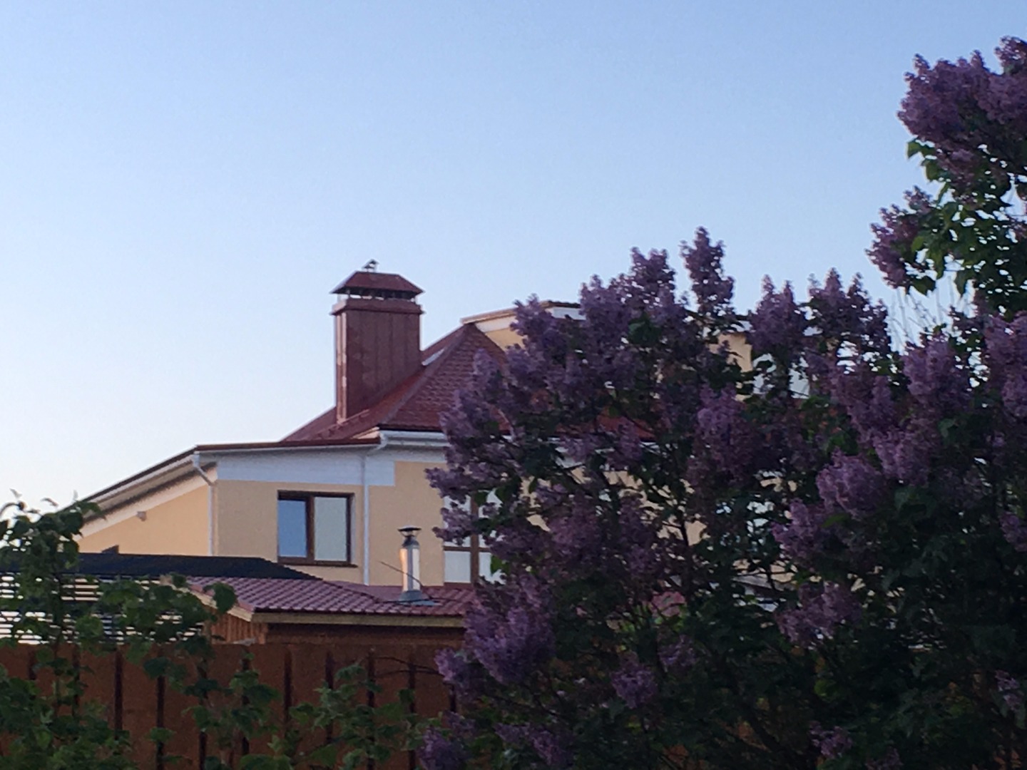 Фотография мини отеля Усадьба Усть-Боярское