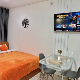 Фотография квартиры Квартира уютная студия в Пушкинском районе