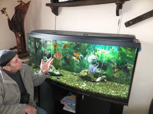 Фотографии гостиницы Беловодье