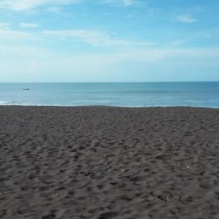 Фотография гостевого дома Villa Tortugas