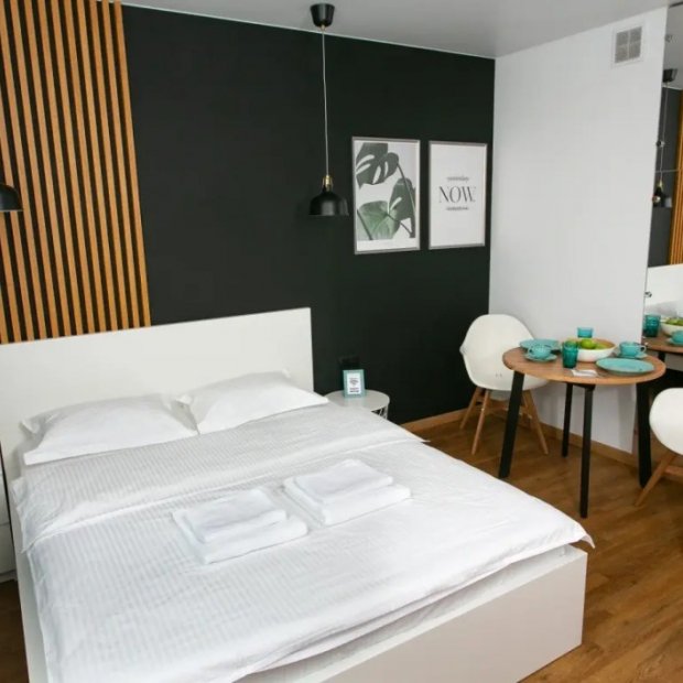 Фотографии квартиры 
            Апартаменты Домант Романова 60/1 (7)