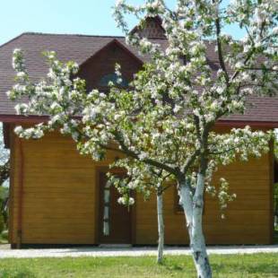 Фотографии гостевого дома 
            Wichrowe Wzgórze