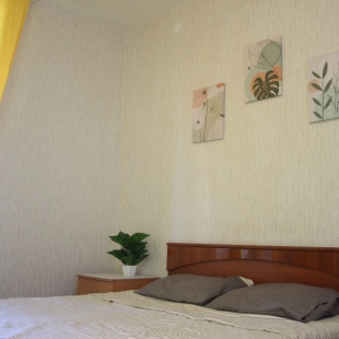 Фотография квартиры Апартаменты Революции 52Б