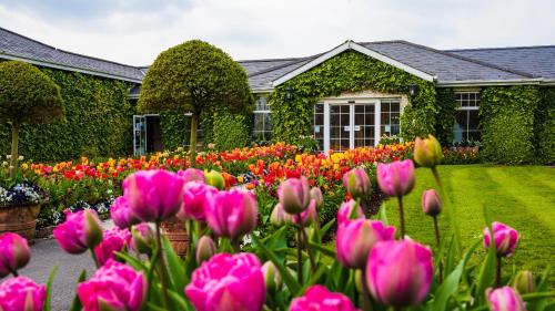 Фотография гостиницы The Keadeen Hotel