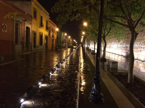 Фотография мини отеля La Casa Carlota