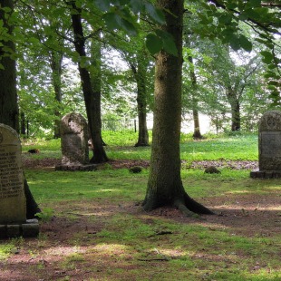 Фотография достопримечательности Мемориал Лесное кладбище