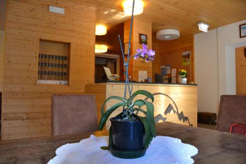 Фотография гостиницы Hotel Valdigne