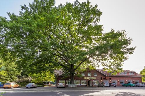 Фотографии гостевого дома
Gasthof Bathmann