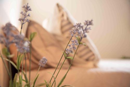 Фотография мини отеля B&B Relais Druda