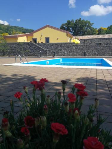 Фотография базы отдыха Viola Nel Parco