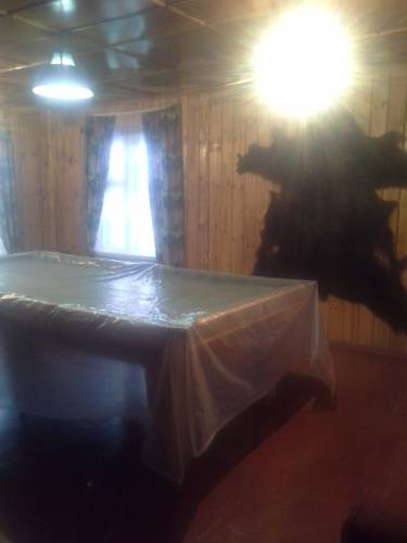 Фотографии мини отеля Снежная