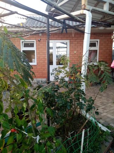 Фотография гостевого дома Estrella