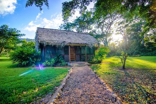 Фотографии гостиницы 
            Bocawina Rainforest Resort