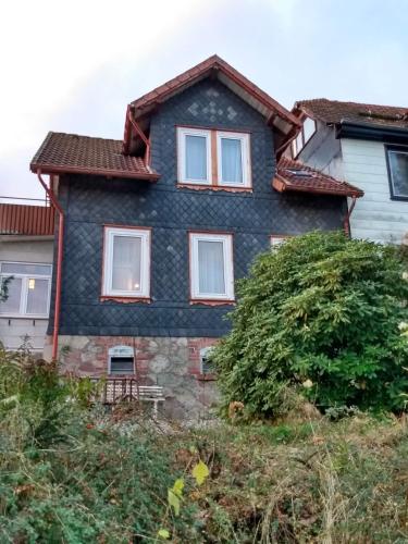 Фотографии гостевого дома
vakantiehuis Julia