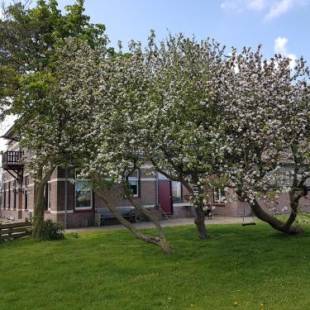 Фотографии мини отеля 
            Hunsingo Texel