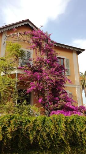 Фотография мини отеля La casa dei Paggi