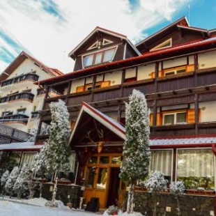 Фотография гостевого дома Pension Restaurant Speranta