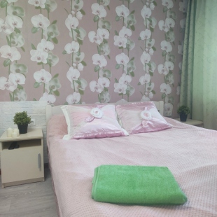 Фотография квартиры Квартира Мечникова 30