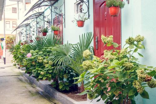 Фотографии гостевого дома
Виктория