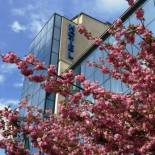 Фотография гостиницы Hotel Lafonte