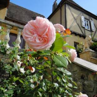 Фотографии гостевого дома
Le Tambourinet