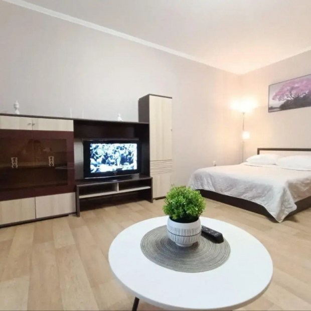 Фотографии квартиры 
            EasyRent на улице Революционная 7