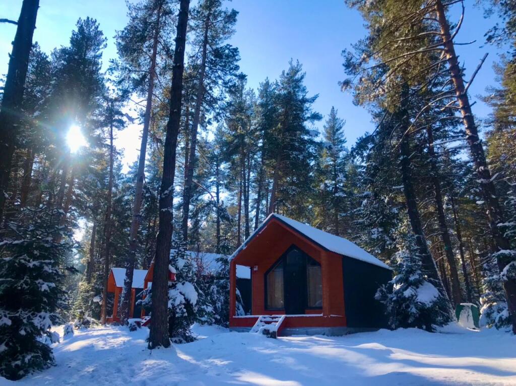 Фотография Коттеджа Шале Белый Волк