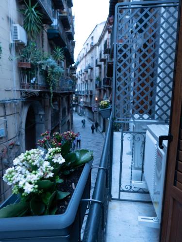 Фотография мини отеля San Francesco Rooms L.T.