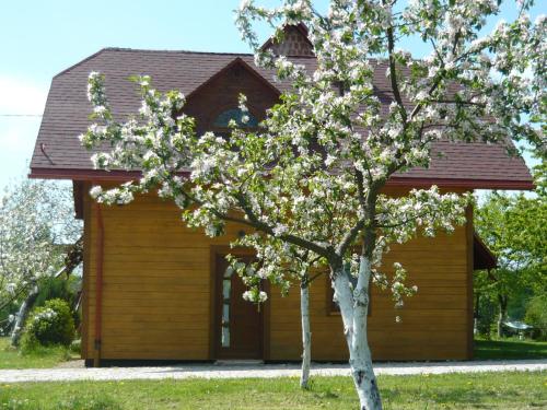 Фотография гостевого дома Wichrowe Wzgórze