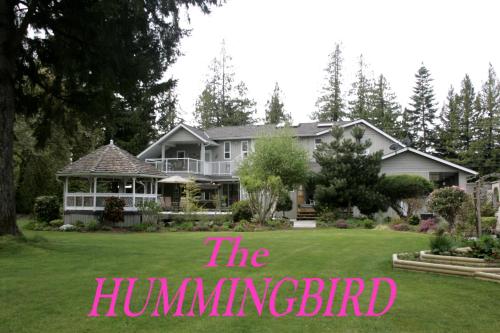Фотография мини отеля Hummingbird Guesthouse