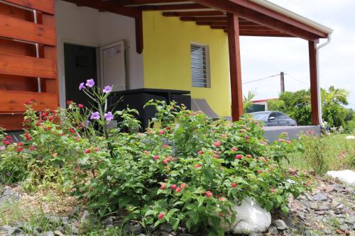 Фотография гостевого дома L'Alizée