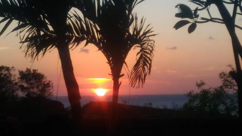 Фотография гостевого дома Khrisna Sunrise Homestay Tulamben